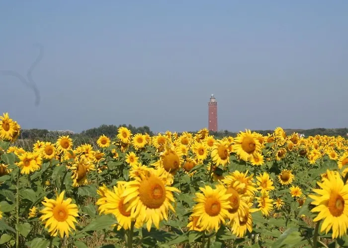 Huijsmansverhuur Type Premium De Luxe Grevelingen 37 Tatil Evi *