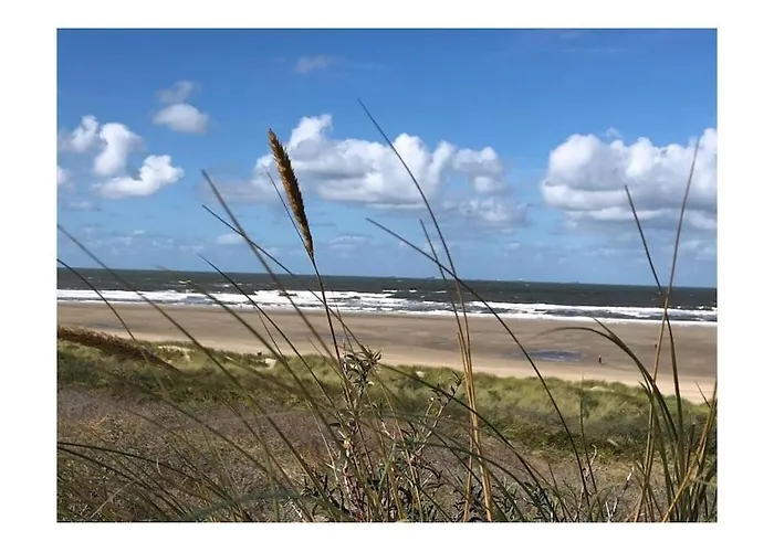 Tatil Evi Huijsmansverhuur Type Premium De Luxe Grevelingen 37 *