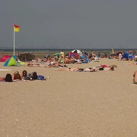 Huijsmansverhuur Type Premium De Luxe Grevelingen 37